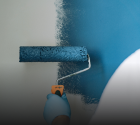 Interior Wall Paints Category Image